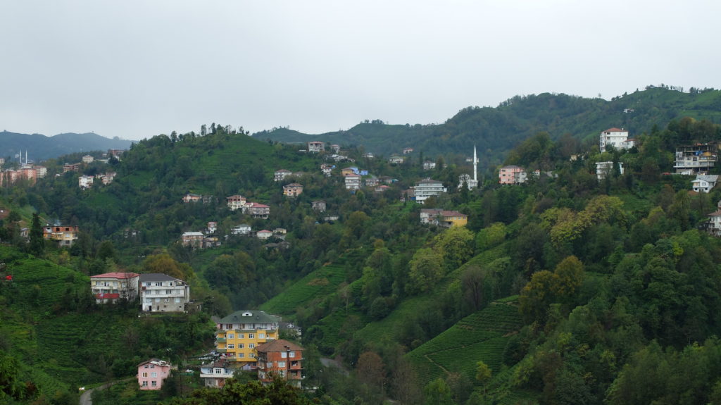 dscf0690-rize